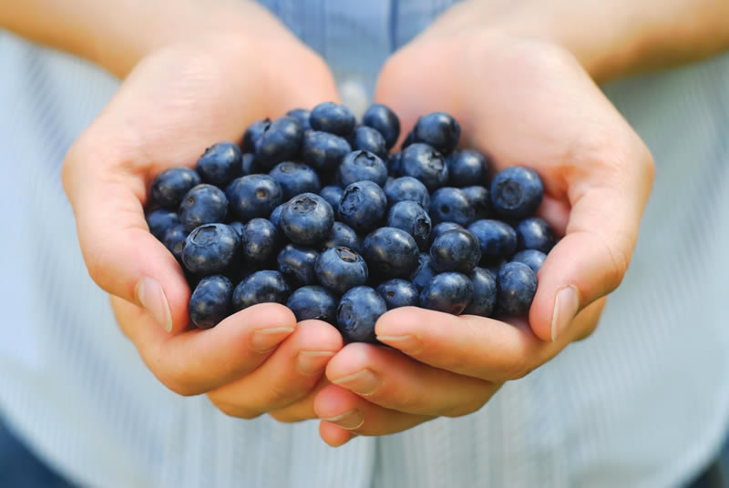 The Anti-Aging Powers of Berries Blueberries for Skin Health