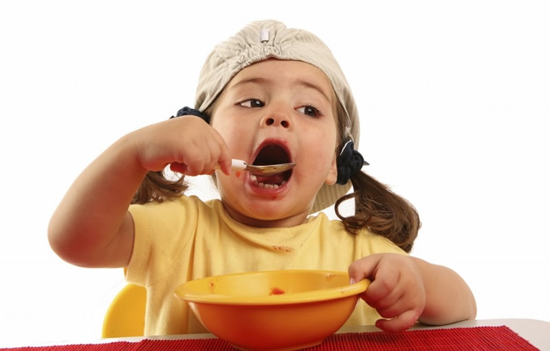 daycare lunch ideas your toddler will love vitacost com blog