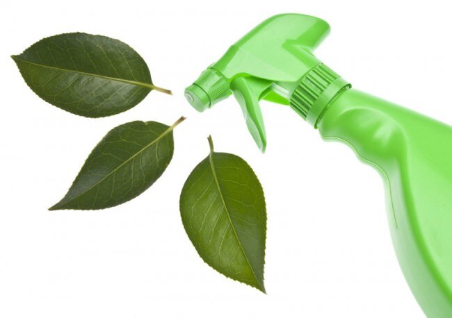 Green Cleaning Products