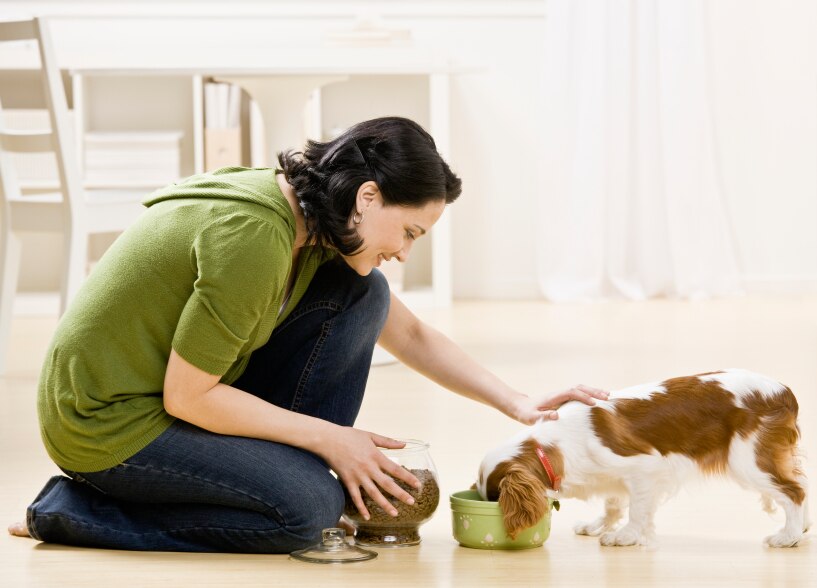 Natural Pet Food Choosing Natural Pet Food