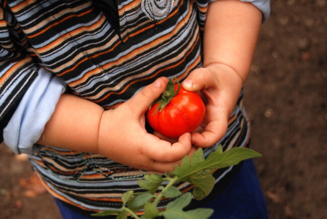 Eco Friendly Activities for Kids