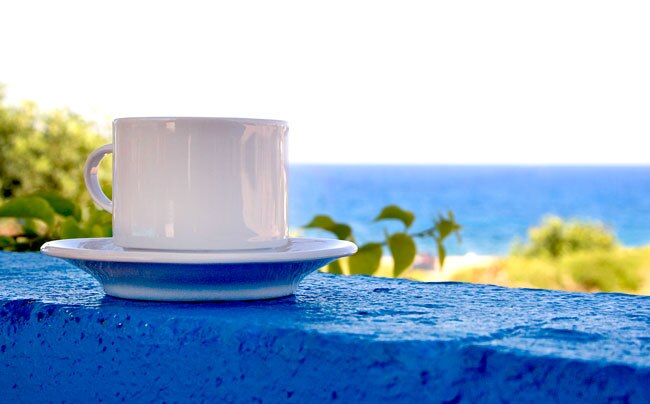 white tea may have antiaging effects