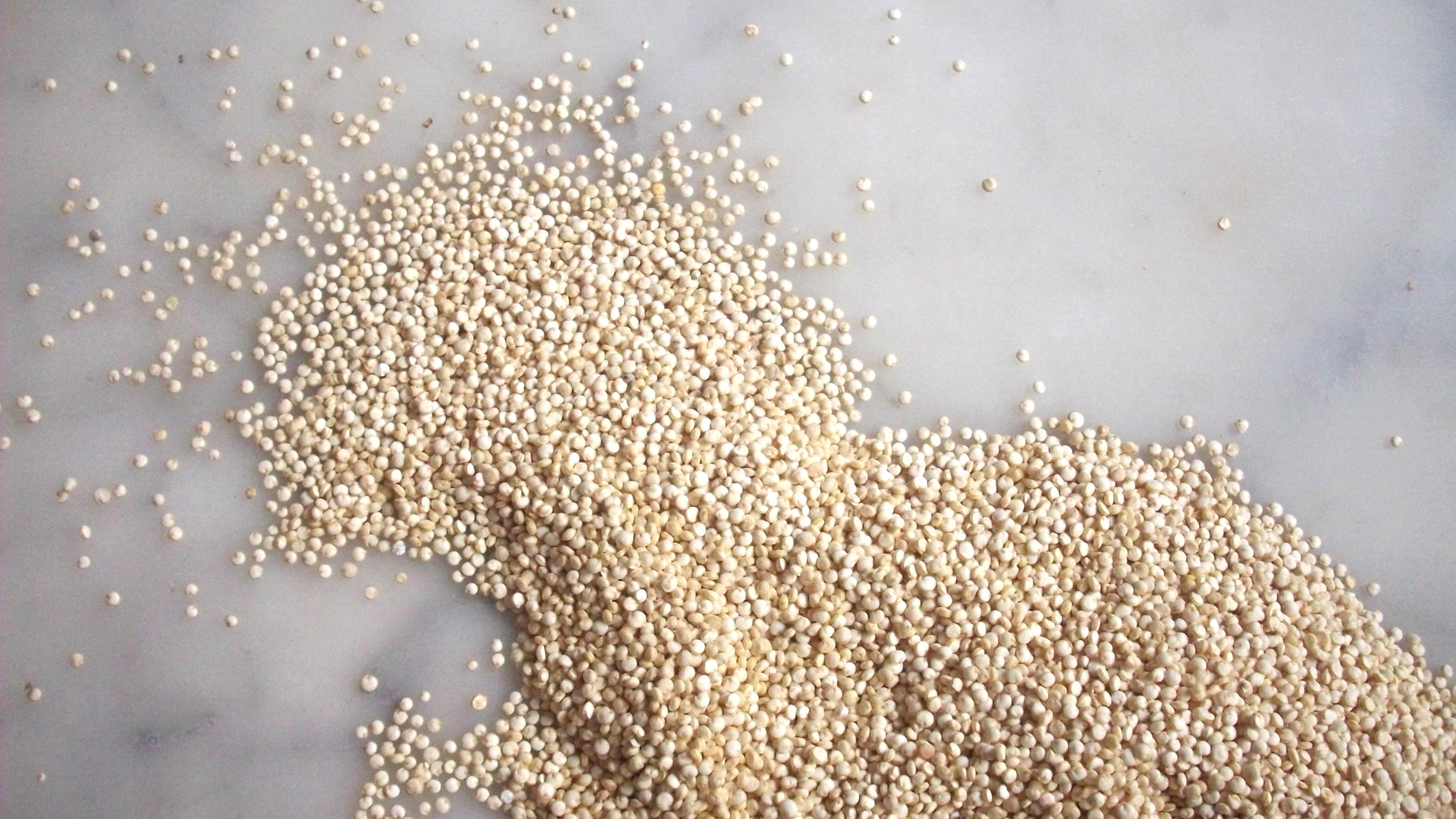quinoa for Passover