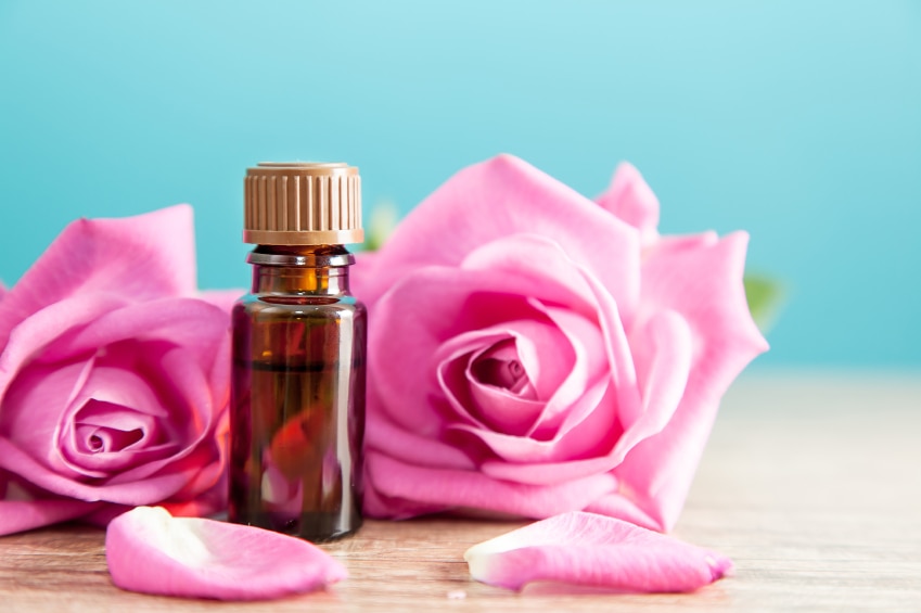 Rosehip Oil for Wrinkles? Blog