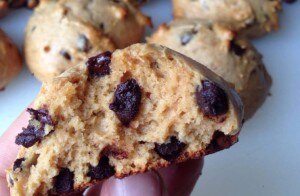 Peanut Butter Protein Cookies