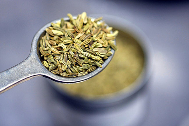 The Benefits of Fennel Fennel Seeds