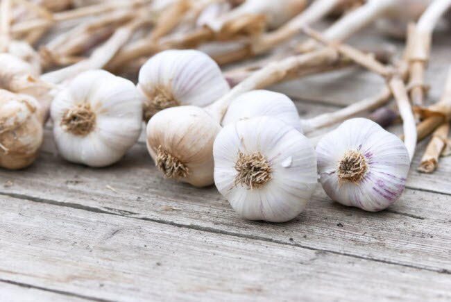 Natural Health Benefits of Garlic