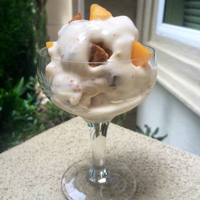 Peachy Frozen Yogurt Recipe