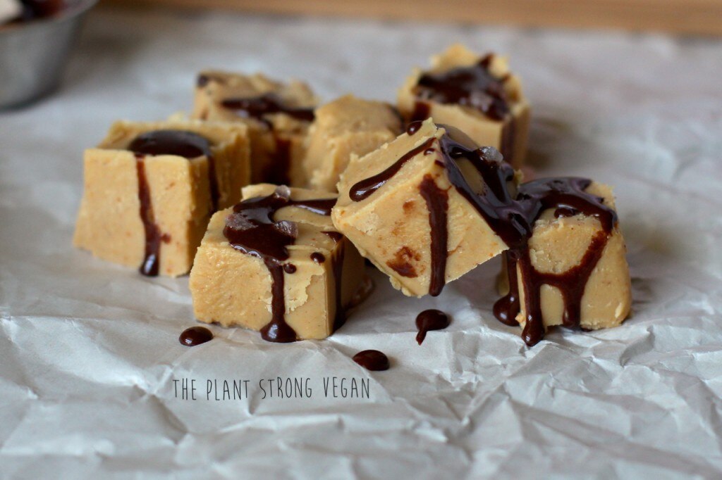 Vegan Fudge Recipe: Salted Peanut Butter Cup| Vitacost.com Blog