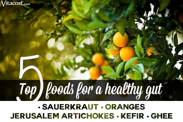 Top 5 Foods for a Healthy Gut