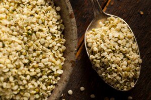 How Hemp Seed Benefits Your Active Body