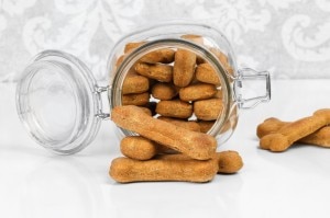 Homemade Dog Treats with Pumpkin