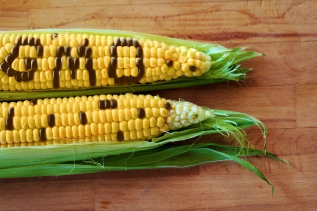 Say No to GMOs