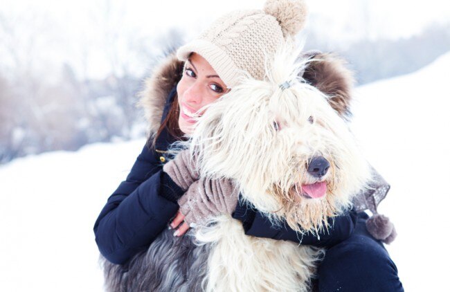 Winter Pet Safety Tips