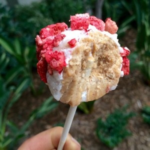 Strawberry No-Bake Cake Pops