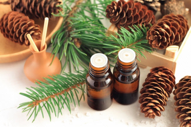Winter Essential Oils Arranged on Table with Pine Cones and Greenery | Vitacost.com/blog