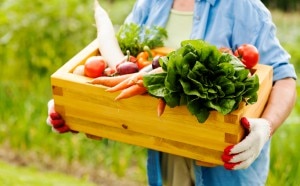 How an Organic Farmer is Helping to Improve Supplements
