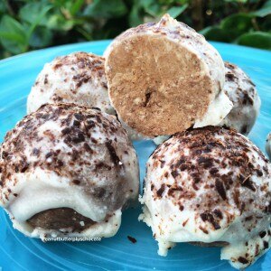 Coconut-Chocolate Chip Protein Bites Recipe
