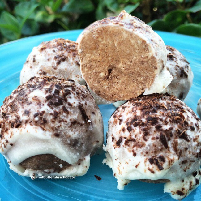 Coconut Butter Protein Bites with Chocolate Chips Coconut-Chocolate Chip Protein Bites Recipe