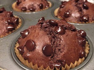 Dark Chocolate Protein Muffins Recipe
