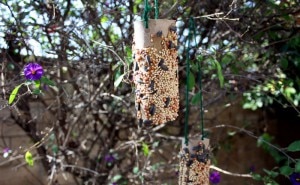 Earth Day Craft Idea: Recycled Paper Tube Bird Feeder