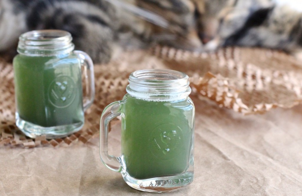 Green Tea Shooter with Spirulina & Matcha