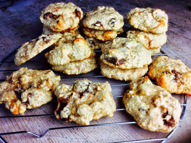 Quest Recipe: Chunky Protein Cookies