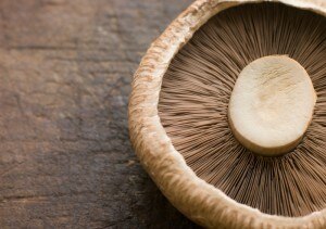 What's In Your Mushroom Supplement?