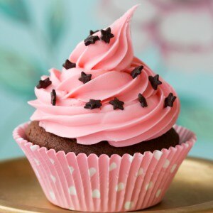 Chocolate Chip Cocoa Cupcakes Recipe