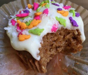 Coconut Cupcakes Recipe with Protein Icing