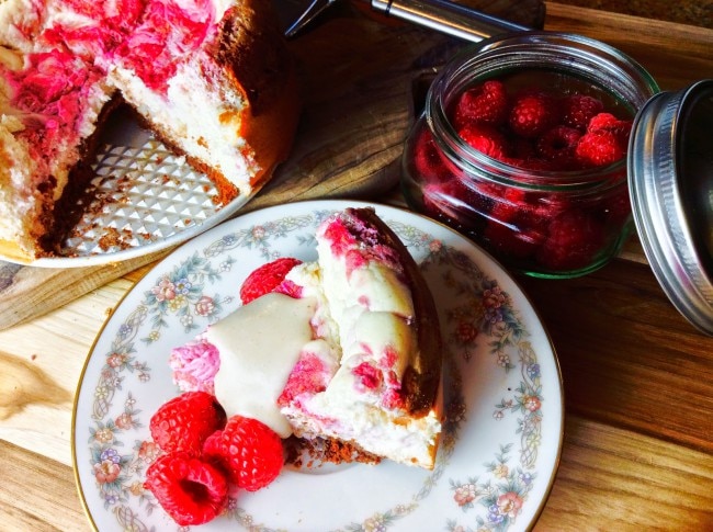 Quest Bar Cheesecake 