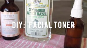 DIY Rosewater Face Toner