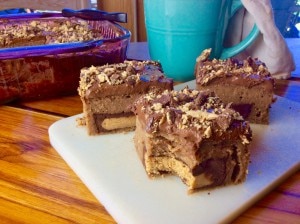 Protein Recipe: Peanut Butter Cup Brownies
