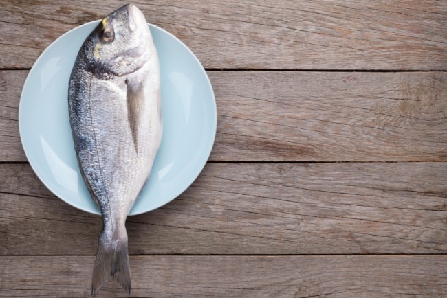 Should You Be Lured by Wild-Caught or Farm-Raised Fish?