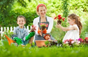 Natural Solutions for a Pest-Free Yard