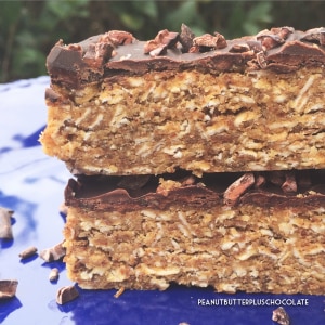 Chocolate-Oat Protein Bars