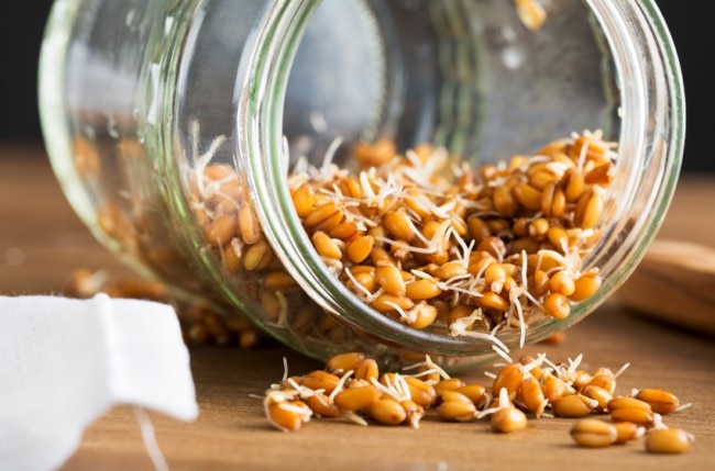 Sprouted Grains: Are You Missing Out? What's the Deal With Sprouted Grains?