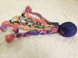 Homemade Dog Toy