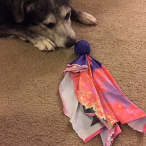 Ball Toy for Dogs
