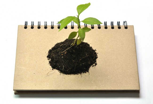 Back-to-School Shopping Guide: Environmentally Safe Products  Eco-Friendly School Supplies for a Healthy Year