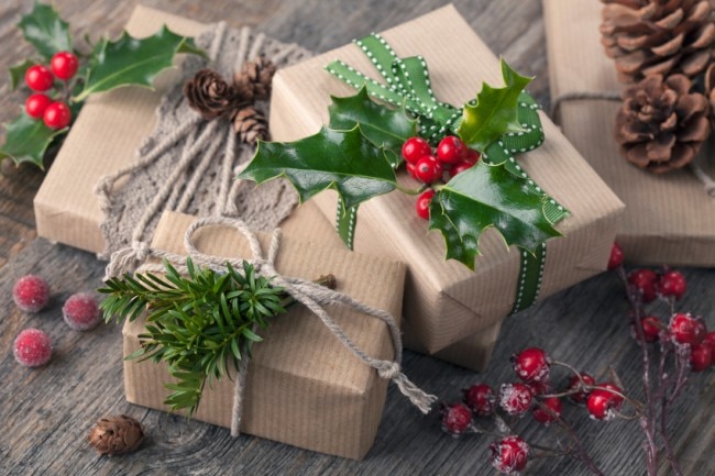 Green Holiday Gift Ideas Holiday Gift Ideas