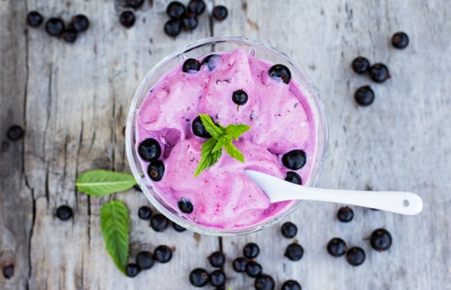 Bacteria in Gut Health - 7 Things Everyone Should Know