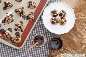 Chocolate Chip Cookies with Oats and Cranberries