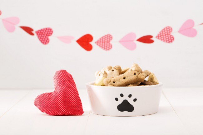 Valentine's Dog Treats