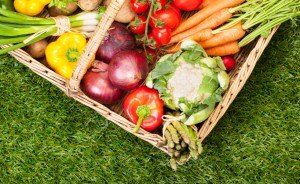 How to Garden So You Don't Have to Grocery Shop