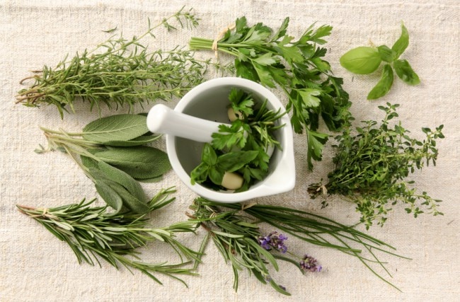 Herbs for Women With Mortar and Pestle www.vitacost.com/blog