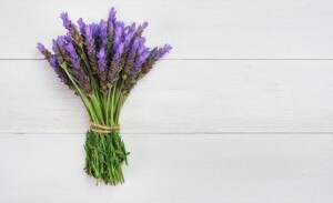 Lavender Oil Benefits From a Lovely Herb Bouquet www.vitacost.com/blog