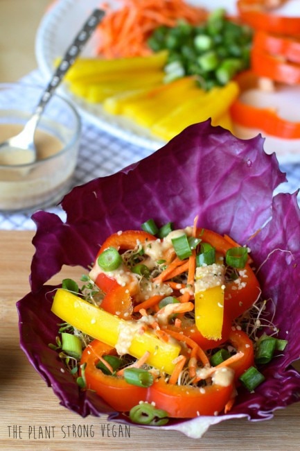 Colorful cabbage wrap with almond dressing www.vitacost.com/blog