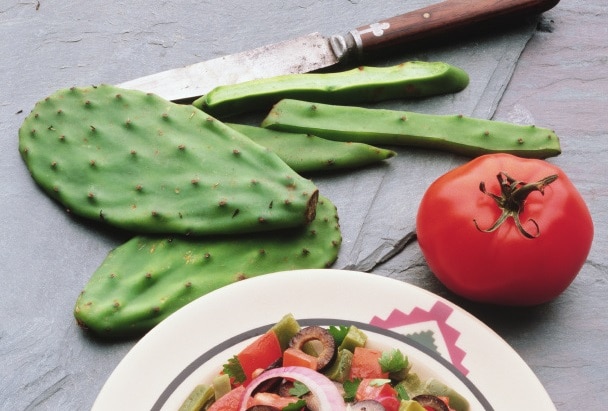Grilled Cactus Nopales cactus fronds with tomato www.vitacost.com/blog
