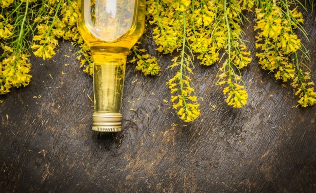 Bottle of Canola Oil Surrounded by Rapeseed Flowers on Wooden Table | www.vitacost.com/blog